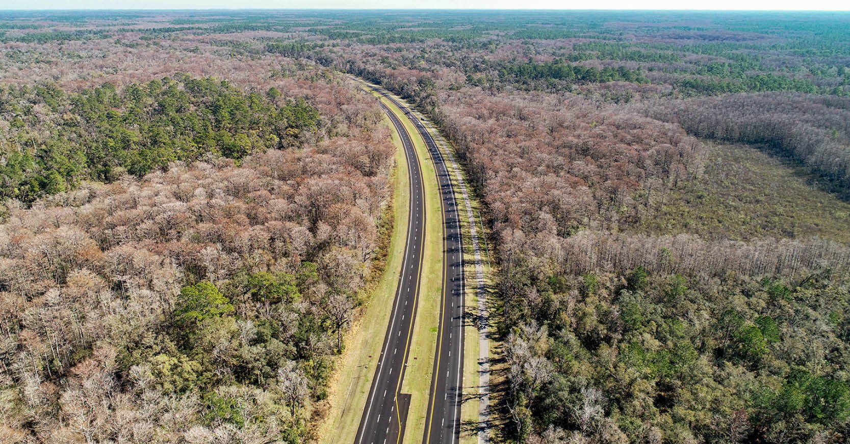 Florida SR 50 Widening Improves Safety and Wildlife Connectivity in Withlacoochee State Forest
